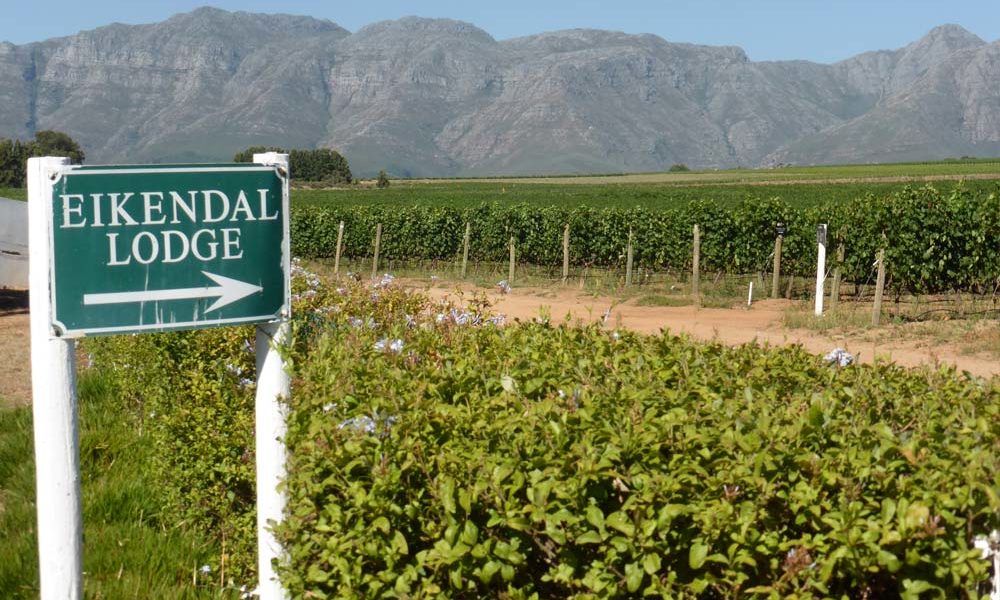 Suedafrika-Weinberg