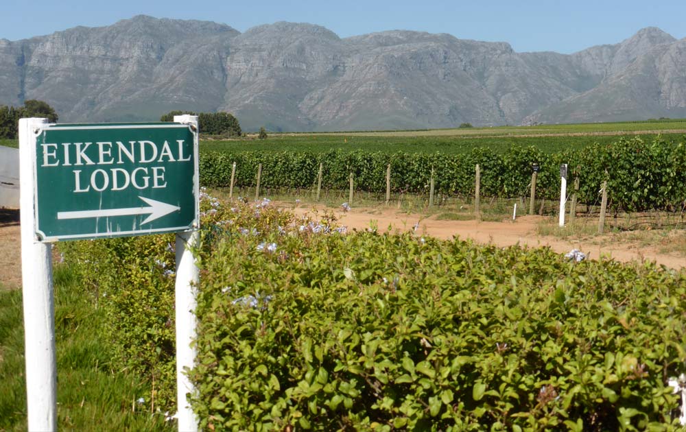 Suedafrika-Weinberg