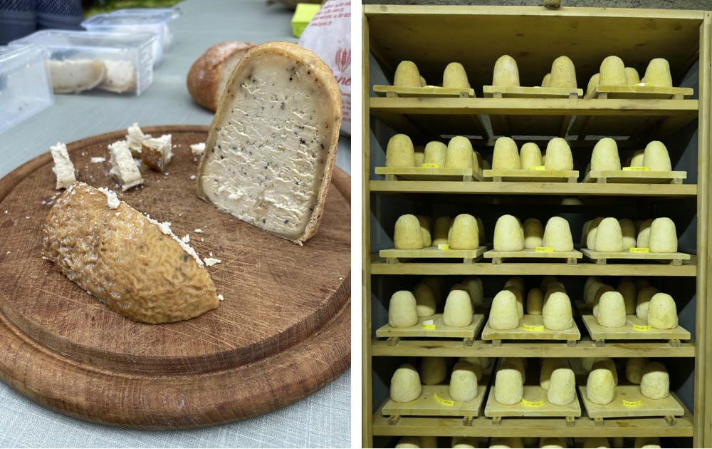 Regionaler-Käse-Tessin